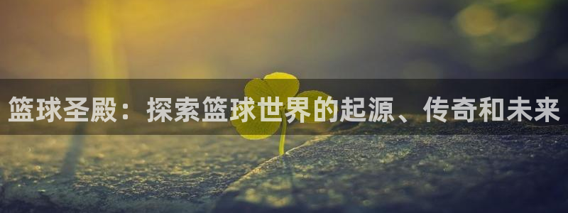 必发集团网站大全|篮球圣殿：探索篮球世界的起源、传奇和未来