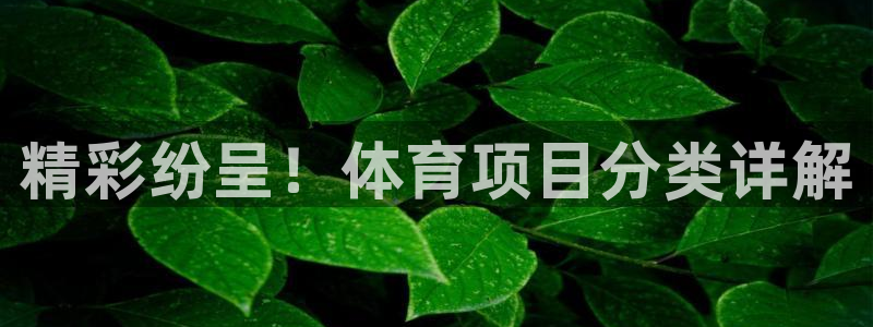 必发集团网站|精彩纷呈！体育项目分类详解