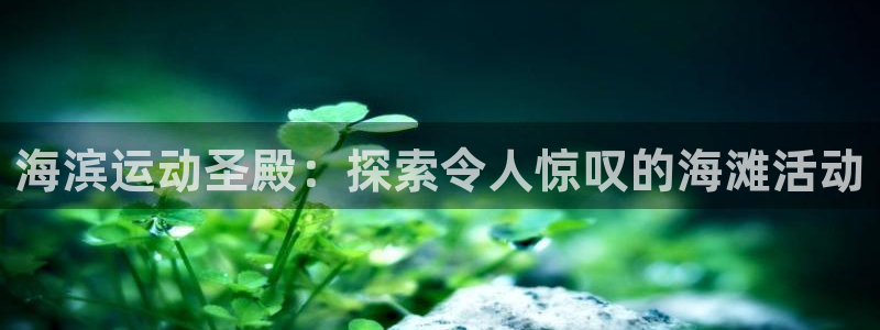 必发集团官网登录