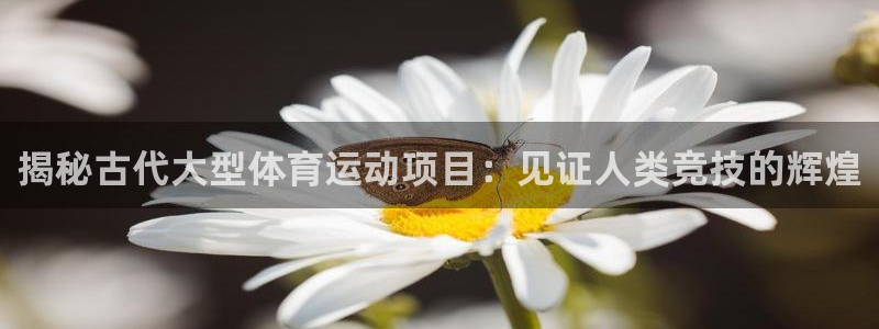 必发集团官网|揭秘古代大型体育运动项目：见证人类竞技的辉煌