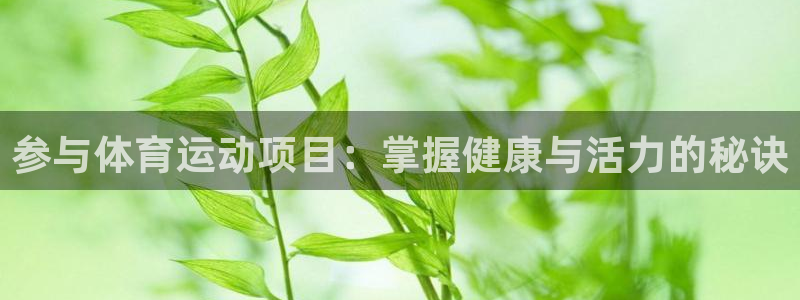 必发集团最新版本|参与体育运动项目：掌握健康与活力的秘诀